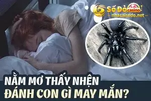 Mơ thấy con nhện đánh con gì